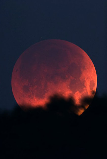 Sang-froid beneath a blood-red moon.
